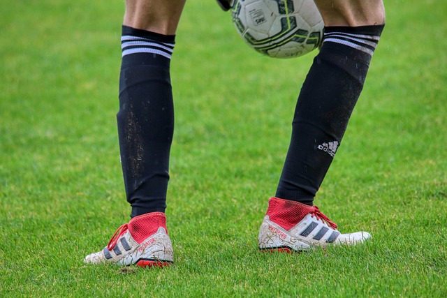 积极追求胜 积极追求胜