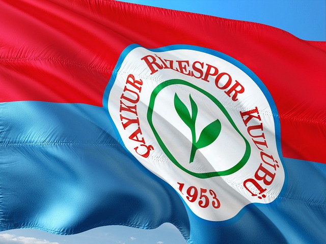 主教练们不 主教练们不