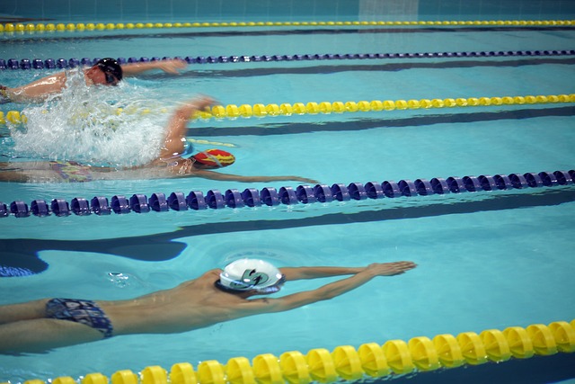 新任管理层 新任管理层